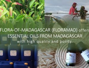 Flora-of-Madagascar